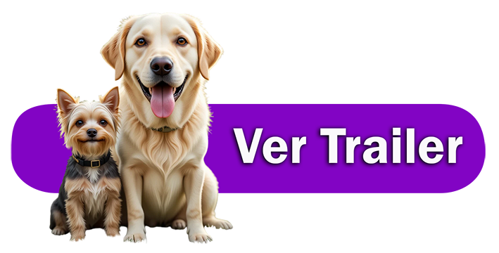 Trailer oficial del Libro de Pituco